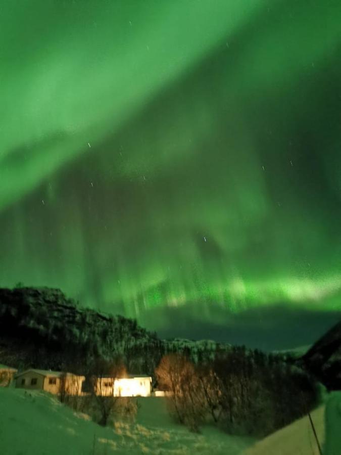 Skjellbogen Hyttegrend Sortland