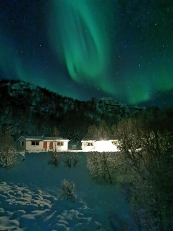 Lodge Skjellbogen Hyttegrend Sortland