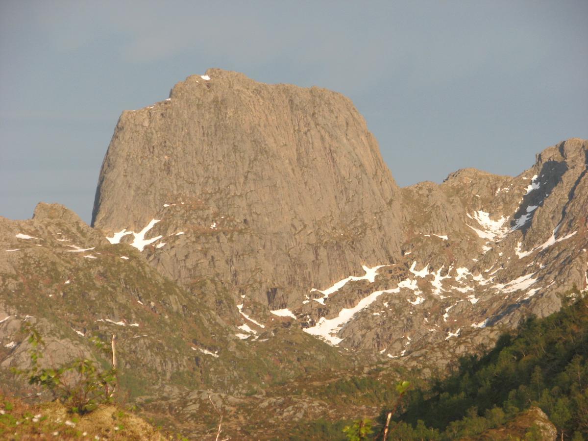 Skjellbogen Hyttegrend