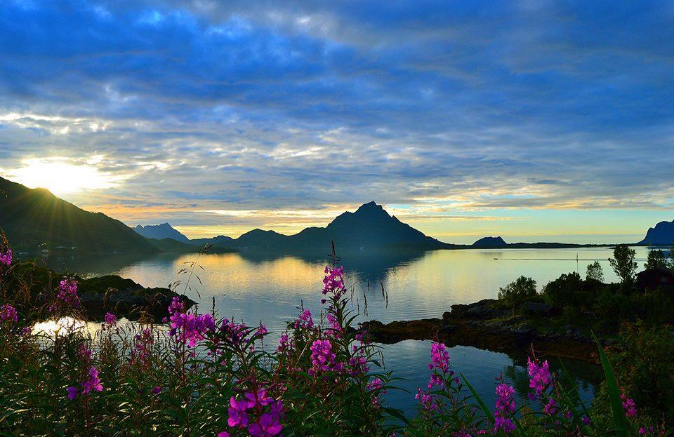 Skjellbogen Hyttegrend * Sortland