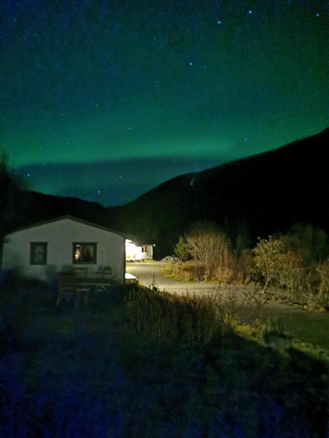 Skjellbogen Hyttegrend * Sortland